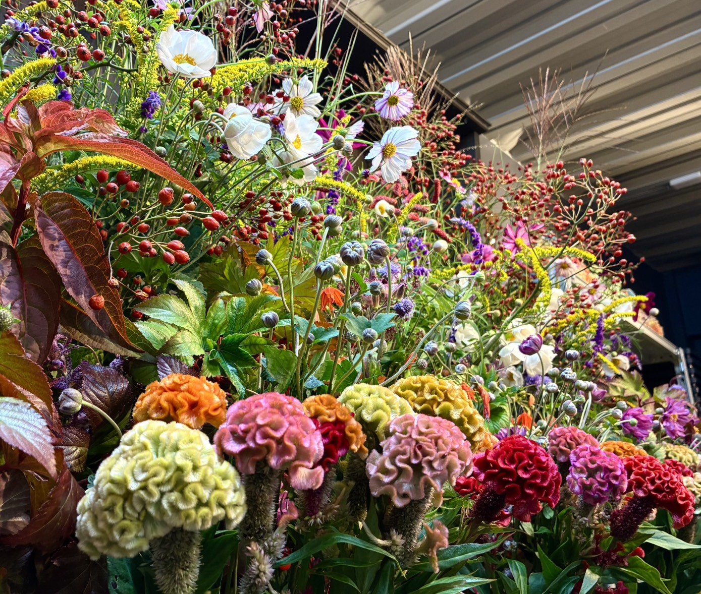秋の草花フェア